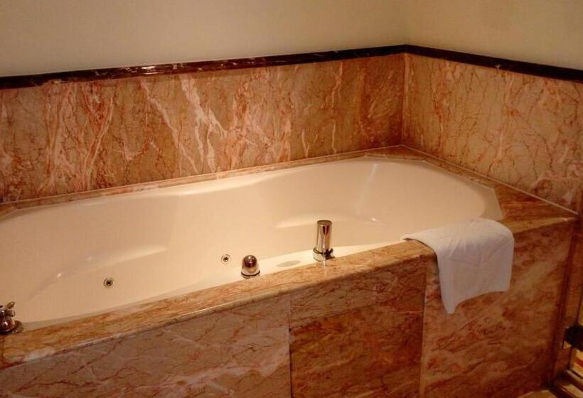 Люкс Deluxe Кровать Кинг, Taj Krishna