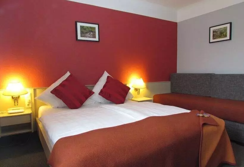 Standard Room, Des Ardennes
