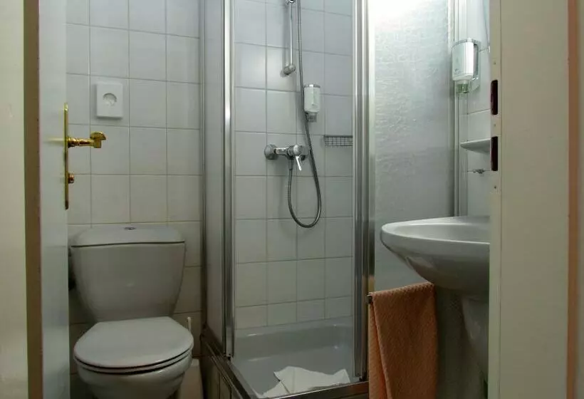 Standard Single Room, Des Ardennes