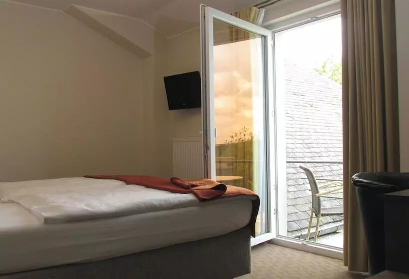 Standard Single Room, Des Ardennes