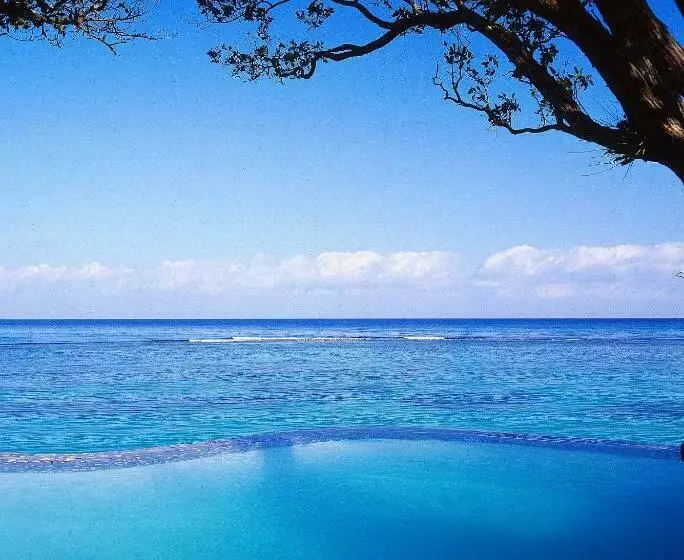 سوییت, Jamaica Inn