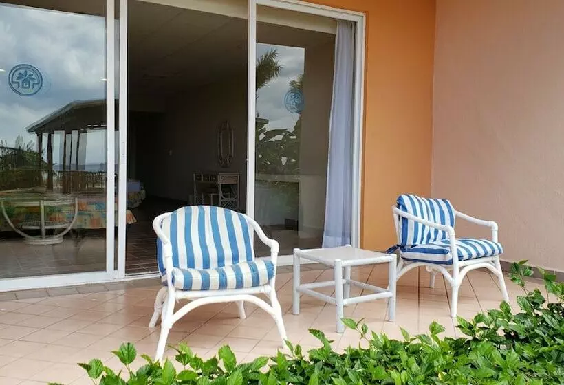 اتاق استاندارد با چشمانداز باغ, El Cozumeleno Beach Resort All Inclusive