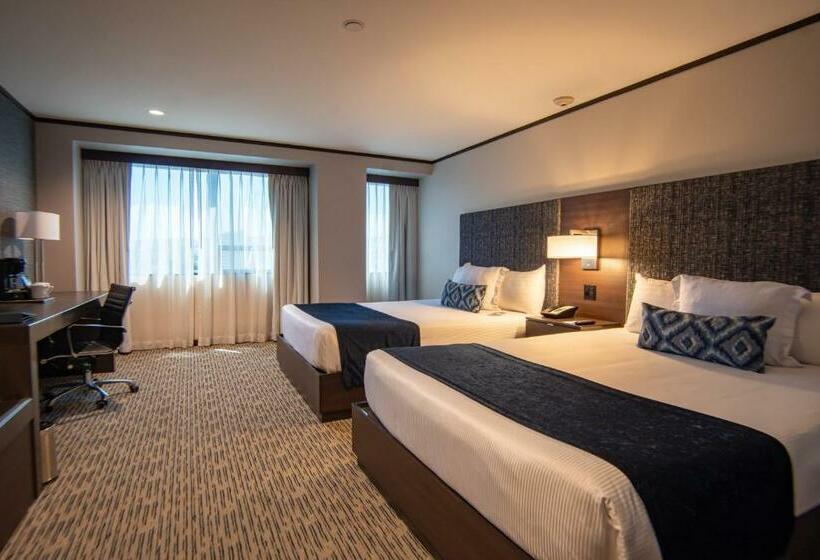 エクゼクティブルーム, Grand Hotel Tijuana