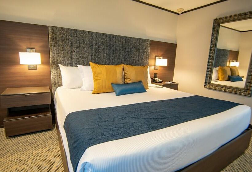 エクゼクティブルーム, Grand Hotel Tijuana