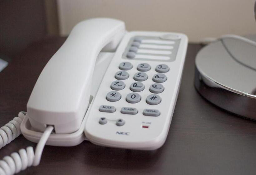 Номер Deluxe, Posada De Tampico