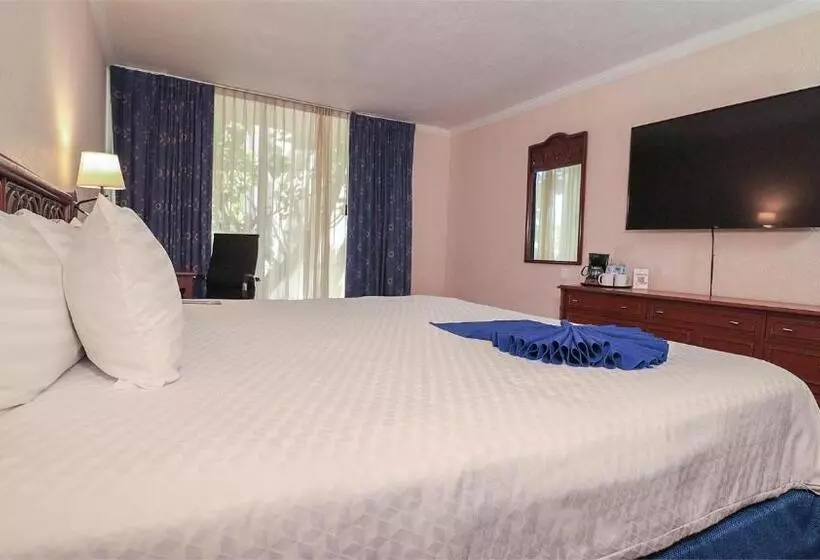 اتاق لوکس با تخت بزرگ, Posada De Tampico