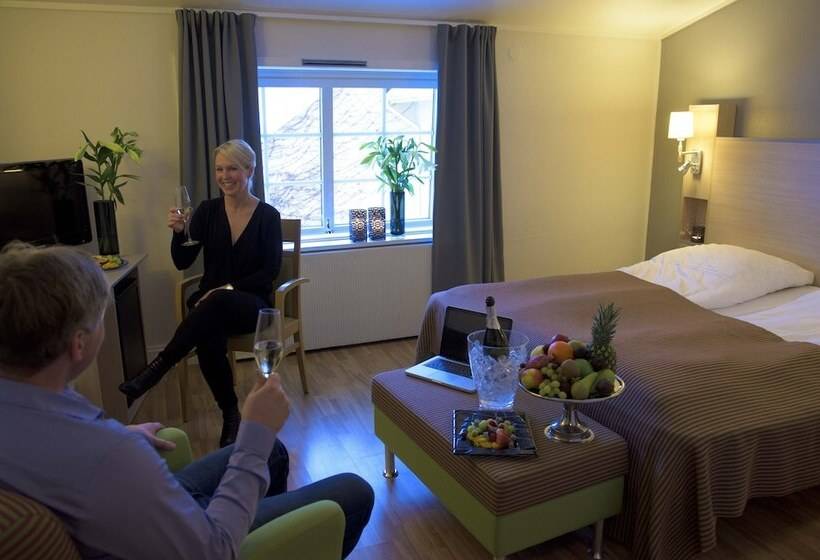 Номер Стандарт, Vinger Hotell
