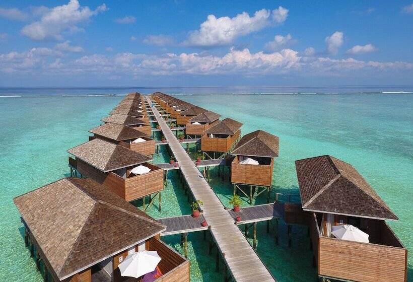 ویلای 1 خوابه, Meeru Maldives Resort Island