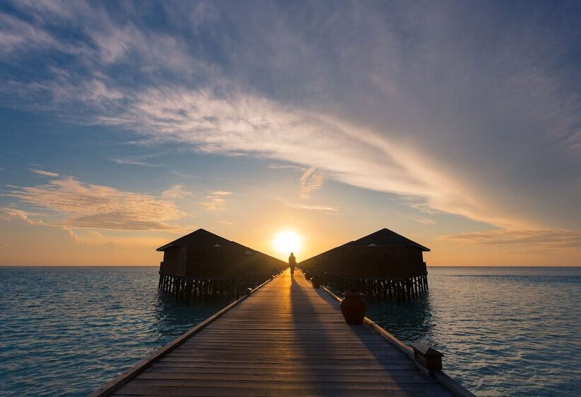 ویلای 1 خوابه, Meeru Maldives Resort Island