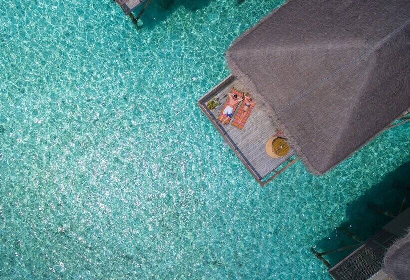 ویلای 1 خوابه, Meeru Maldives Resort Island