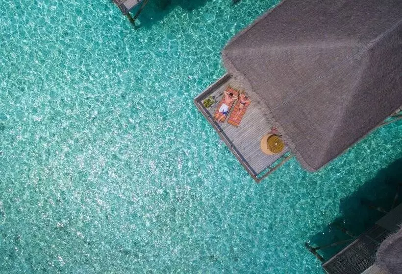 ویلای 1 خوابه, Meeru Maldives Resort Island