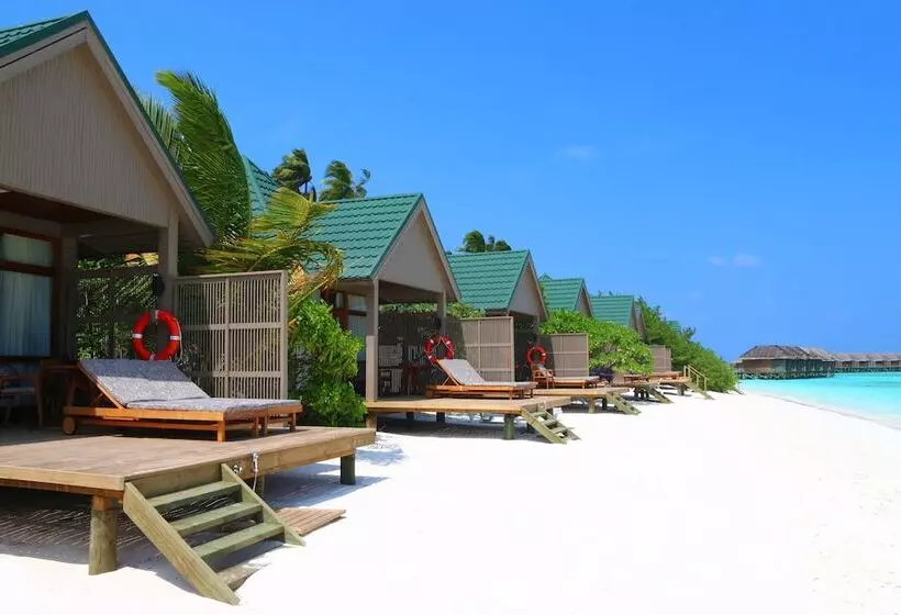 ویلای 1 خوابه با چشمانداز دریا, Meeru Maldives Resort Island
