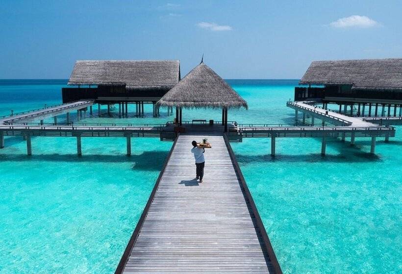ビラホテル1ベッドルーム, One&only Reethi Rah