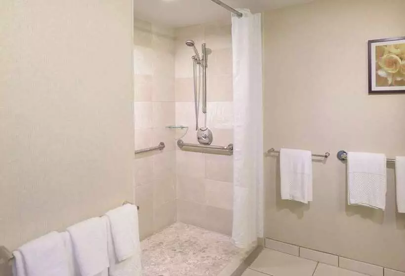 اتاق لوکس, Mangrove Beach Corendon Curacao Allinclusive Resort, Curio By Hilton