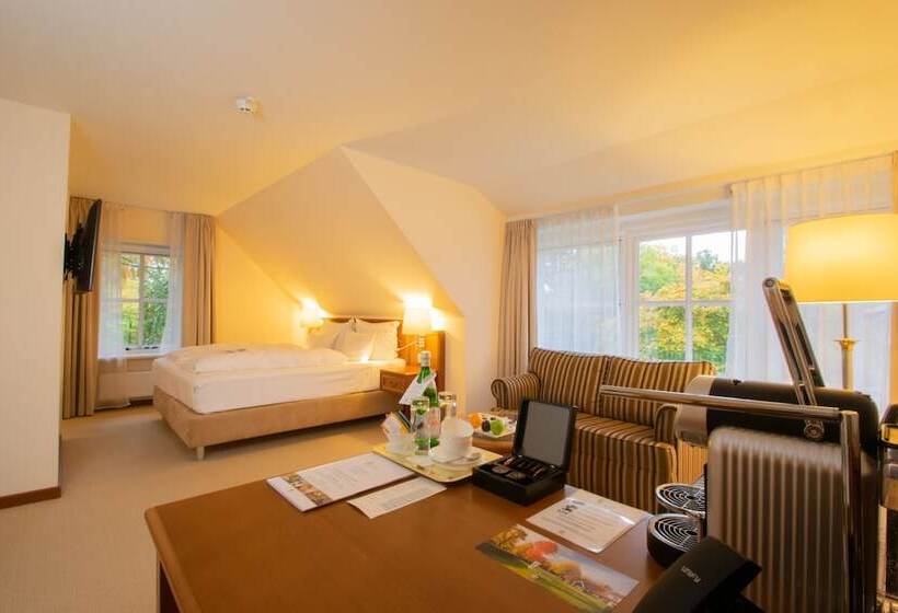 Номер Deluxe, Parkhotel De Wiemsel