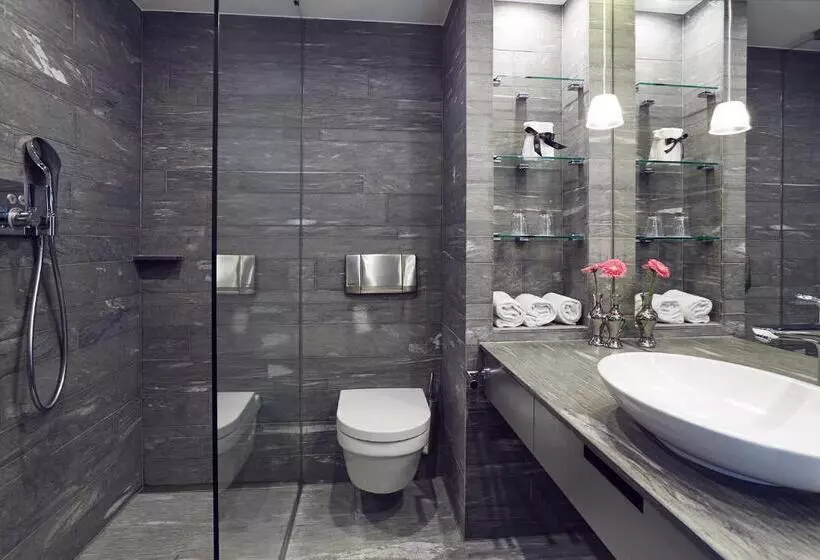 اتاق پرمیوم, Swissôtel Amsterdam