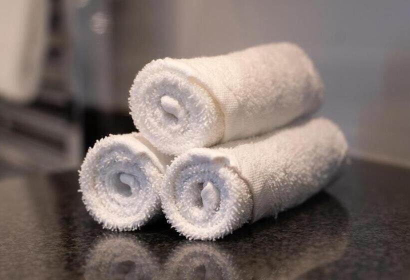 غرفة قياسية, Swissôtel Amsterdam