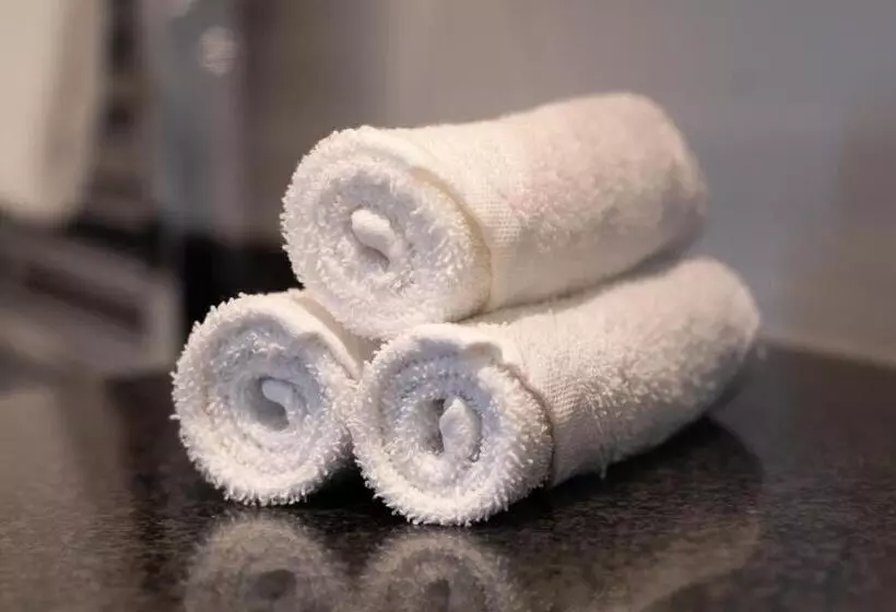 اتاق استاندارد, Swissôtel Amsterdam