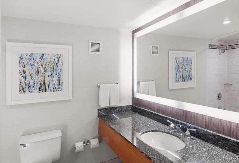 Королевский Люкс, Transcorp Hilton Abuja