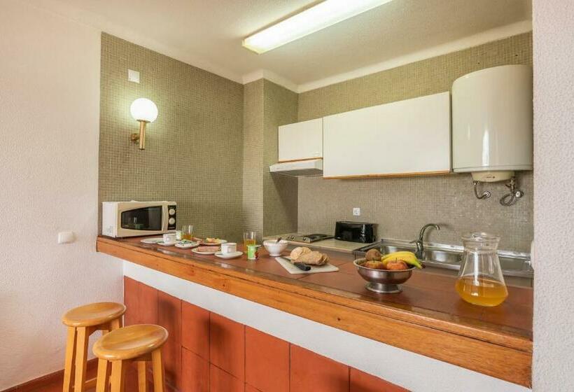 침실 1개 바다 전망 아파트, Aparthotel Navigator