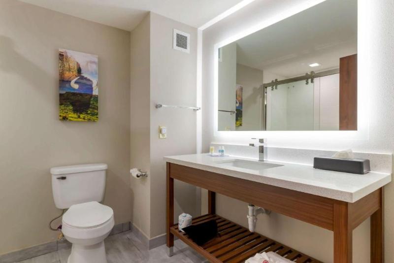 اتاق سوپریور, Avenida Palace