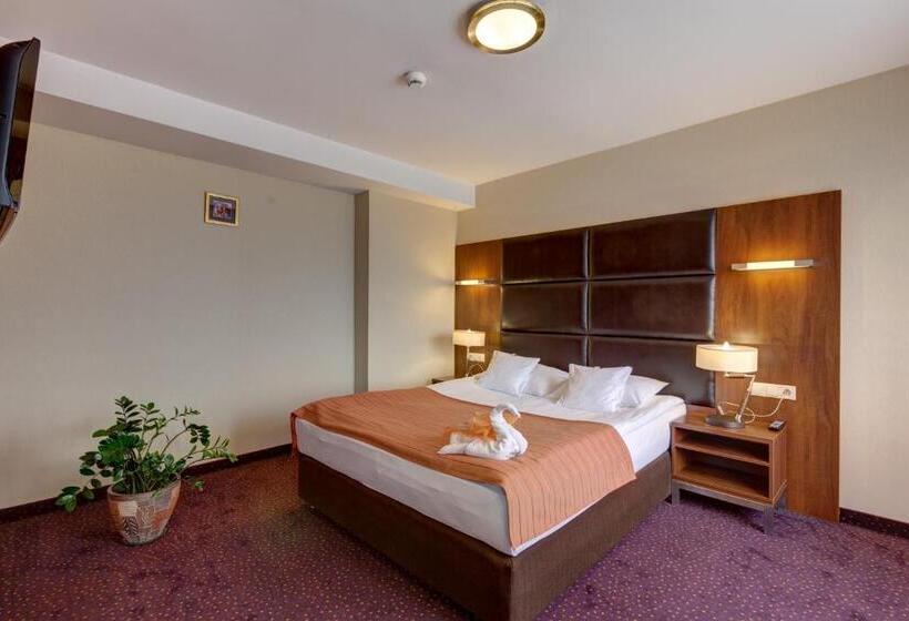 带1个卧室的公寓, Beskid