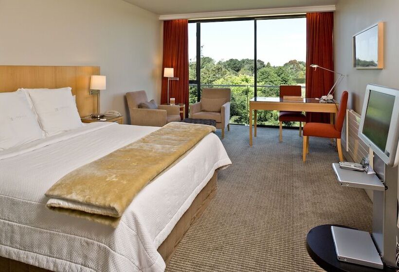 اتاق کلاس بیزنس, Commodore Airport Hotel Christchurch