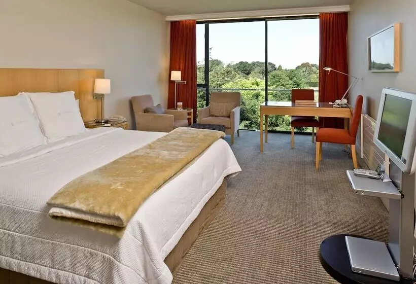 اتاق کلاس بیزنس, Commodore Airport Hotel Christchurch
