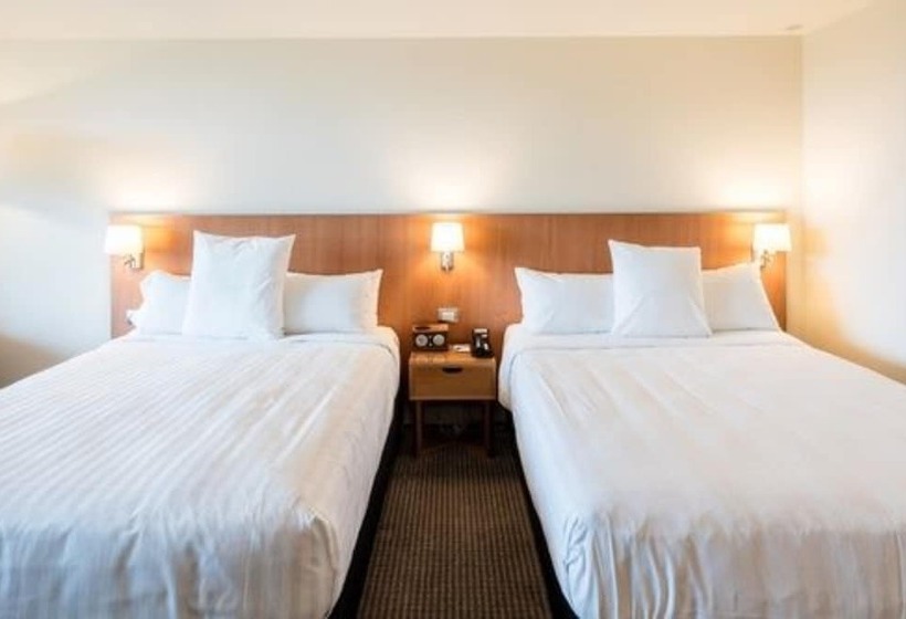 اتاق کلاس بیزنس, Commodore Airport Hotel Christchurch