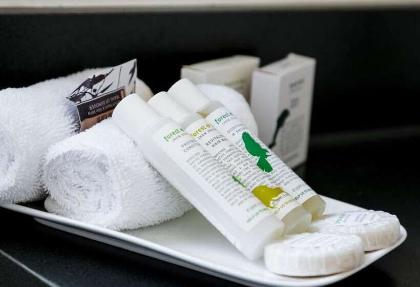 סוויטת אקזקיוטיב 2 חדרים, Fairley Motor Lodge