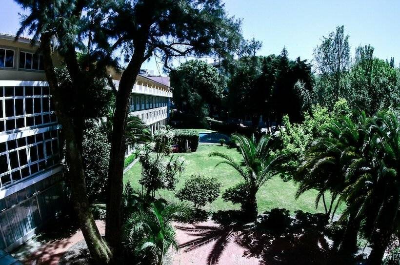 سوییت جونیور, Grao Vasco