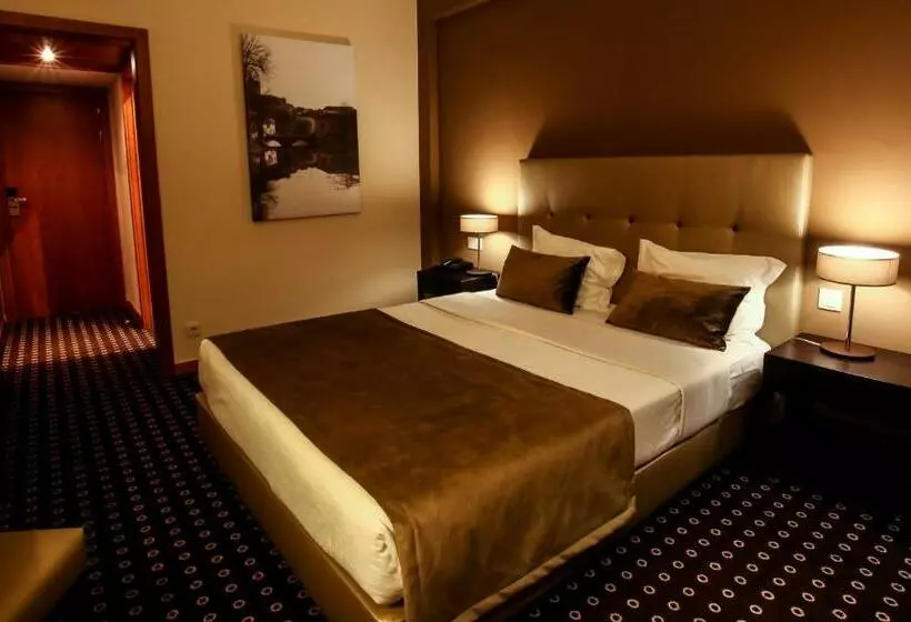 اتاق استاندارد, Grão Vasco   Historic Hotel And Spa