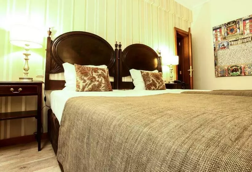 اتاق استاندارد, Grão Vasco   Historic Hotel And Spa