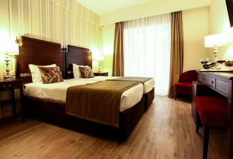 اتاق استاندارد, Grão Vasco   Historic Hotel And Spa
