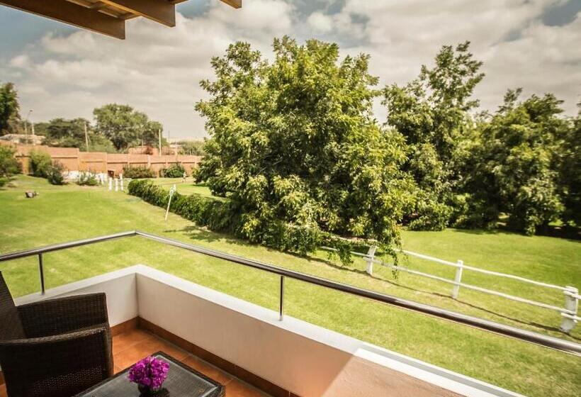 Superior Room with Terrace, Las Dunas