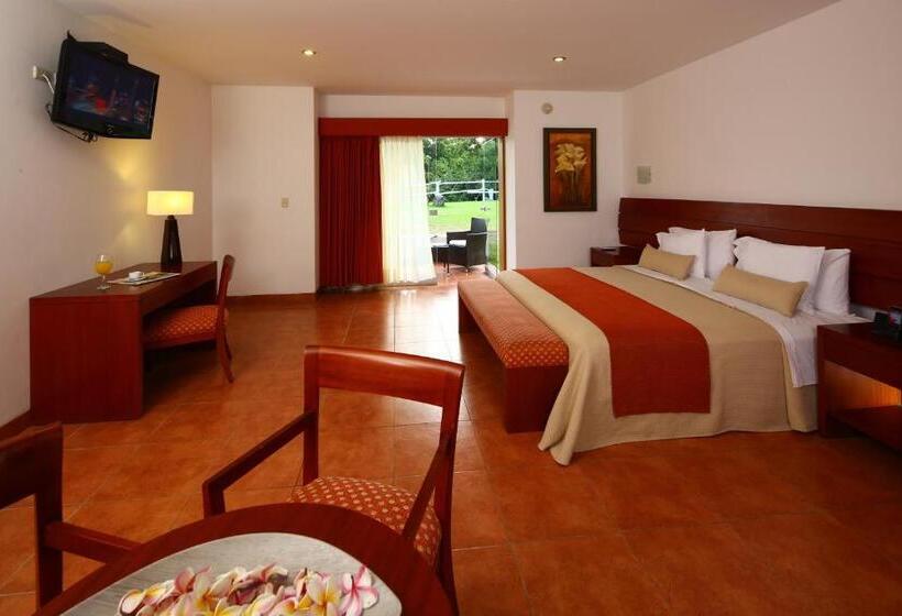 اتاق سوپریور با تخت بزرگ, Las Dunas