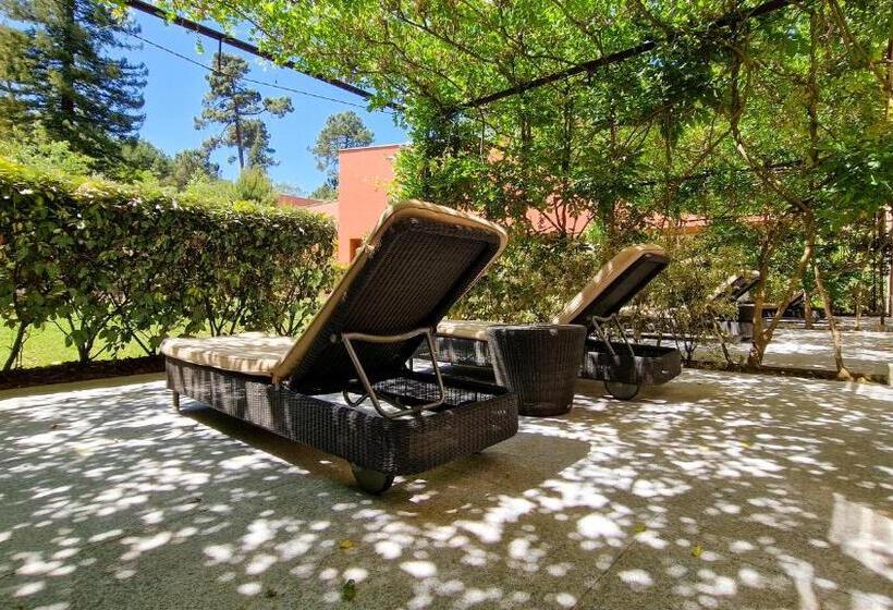 חדר דלוקס, Vidago Palace