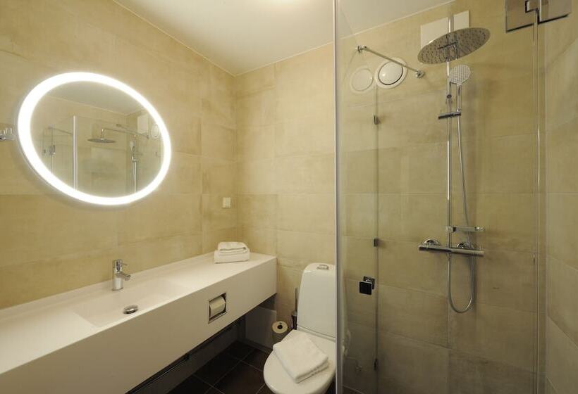 스탠다드 룸, First Hotel Grand Falun