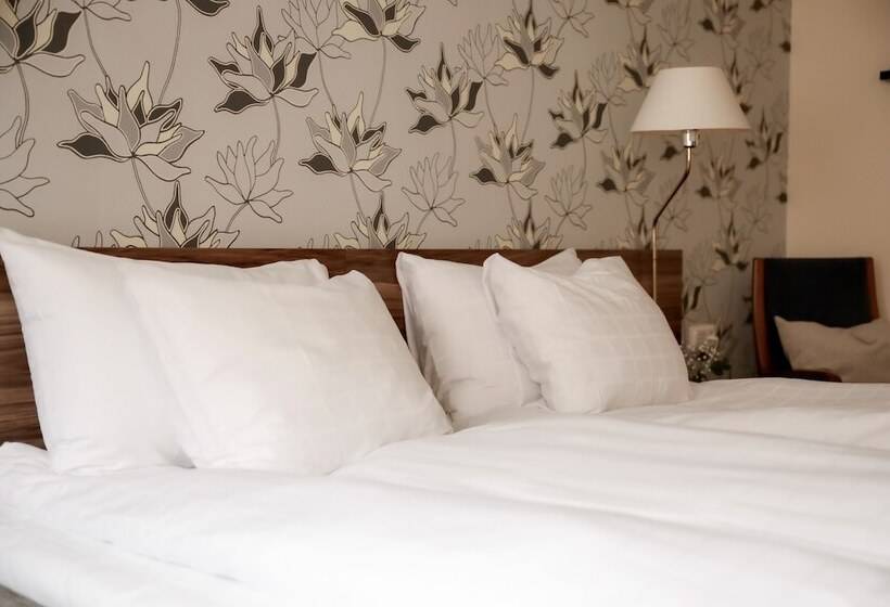 이코노미 룸, First Hotel Grand Falun