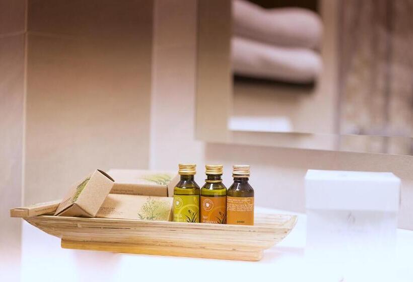 スイート, Transilvania