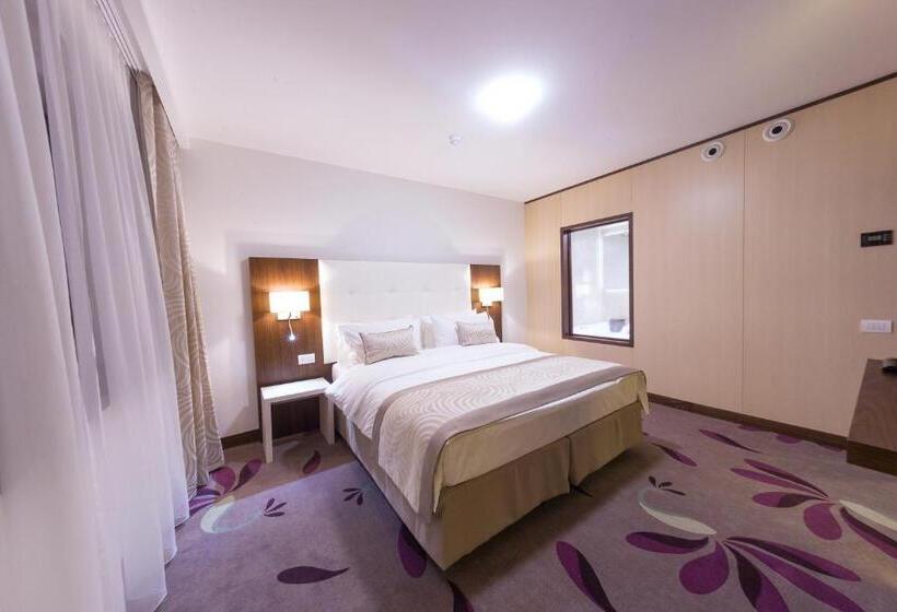 スイート, Transilvania