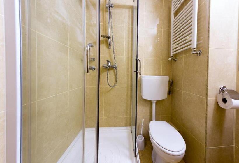 スタンダードルーム, Transilvania