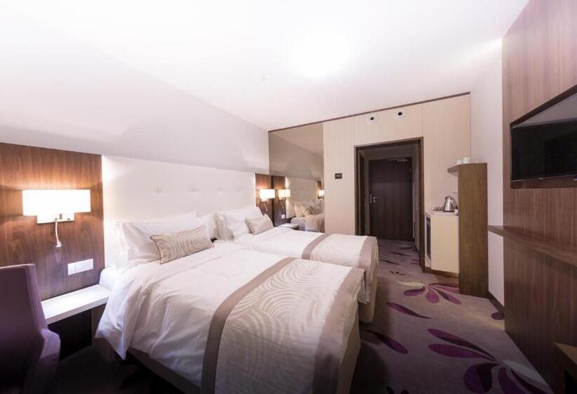 デラックスルーム, Transilvania