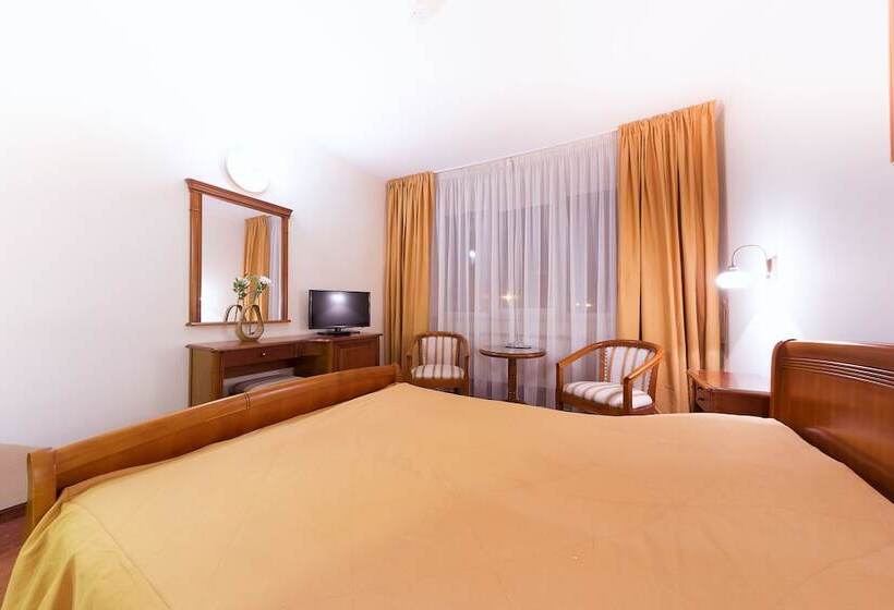 スタンダードルーム, Transilvania