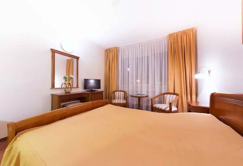 Standard Room, Transilvania