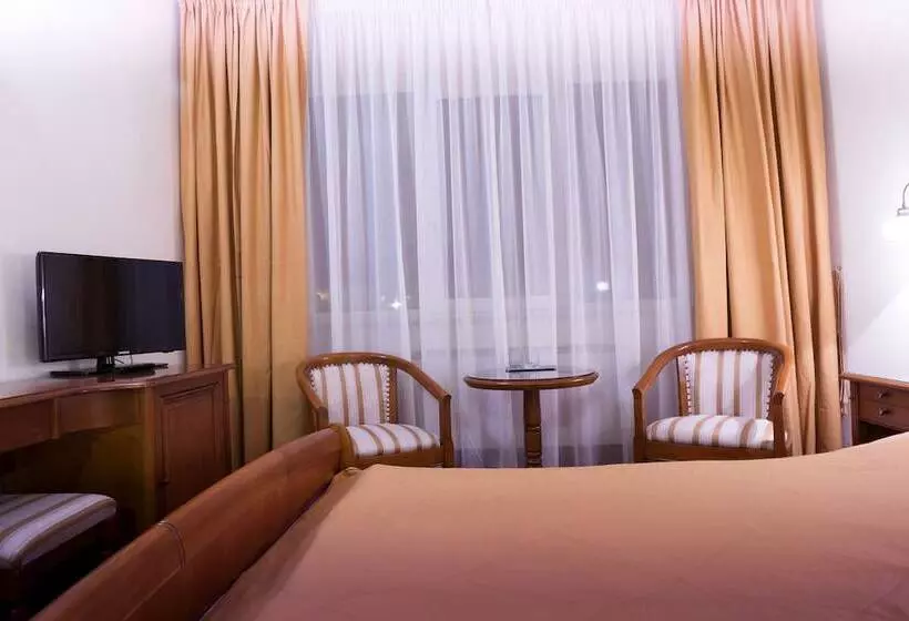 Standard Room, Transilvania