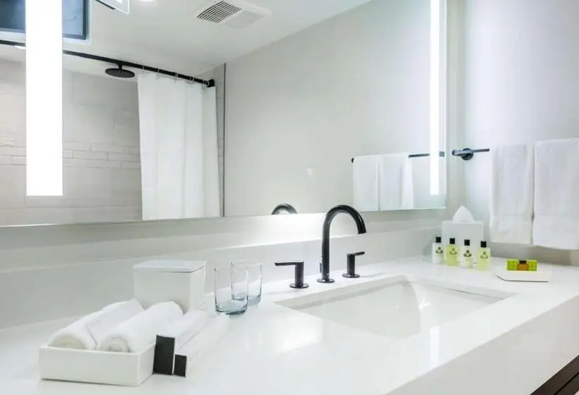 اتاق استاندارد با تخت بزرگ, The Royal Sonesta San Juan