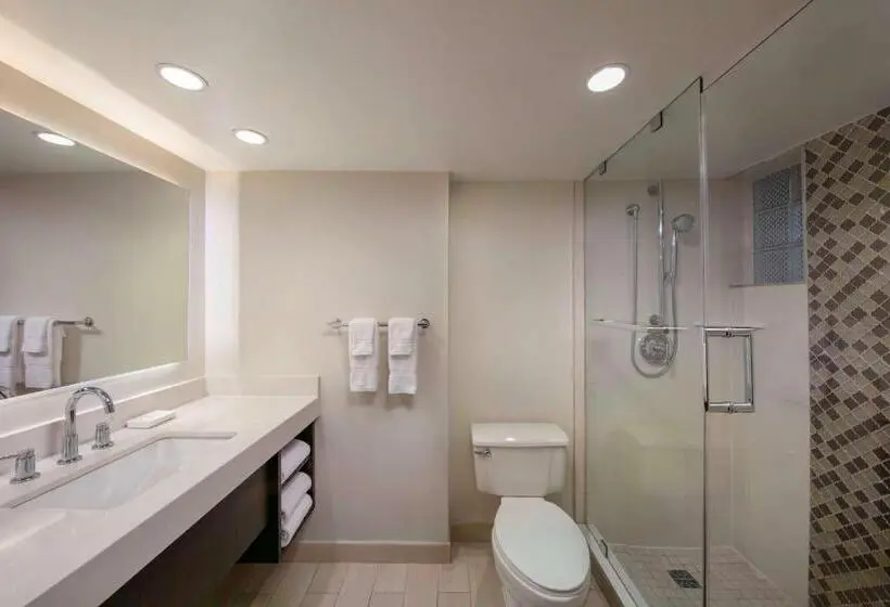 اتاق دلوکس مخصوص معلولین, The Royal Sonesta San Juan