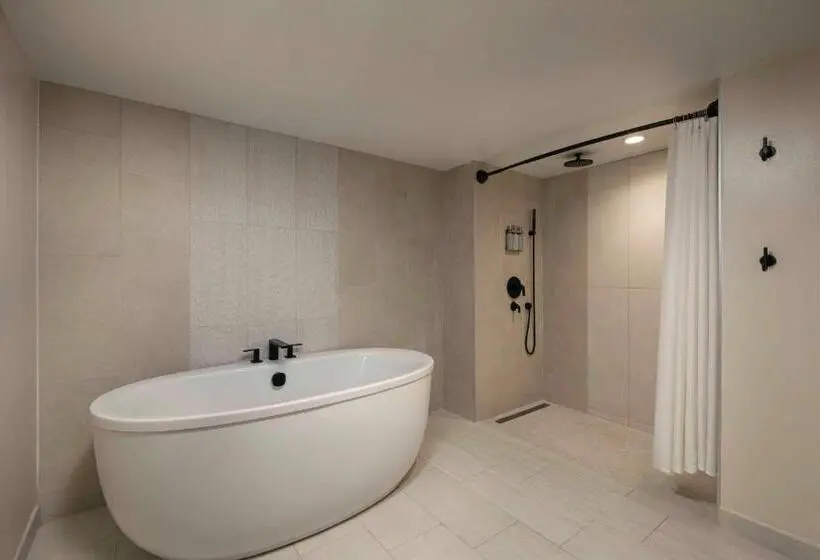 سوئیت اجرایی با تخت کینگ, The Royal Sonesta San Juan