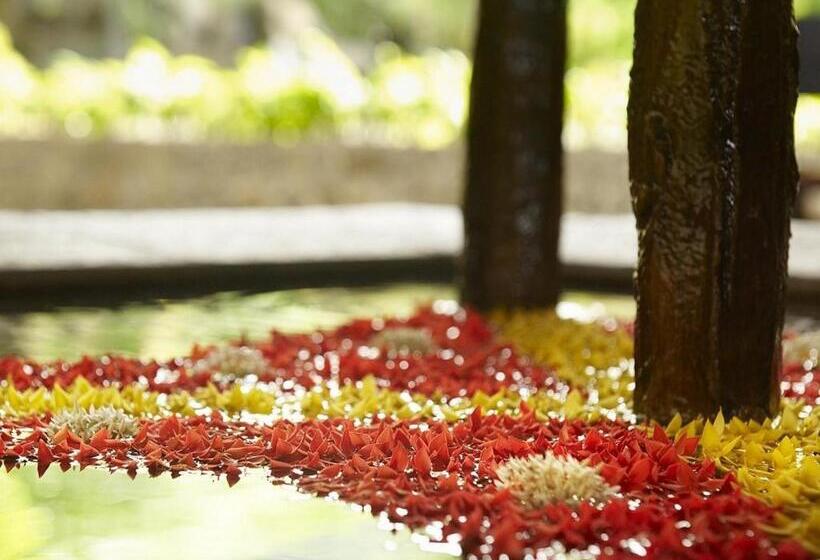 سوییت خانوادگی, Fisherman S Cove Resort